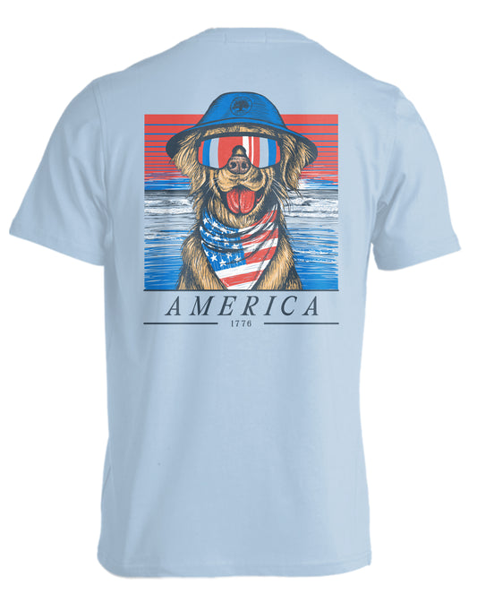 AMERICA RETRIEVER