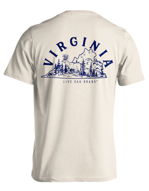 STATE OUTLINE, VIRGINIA