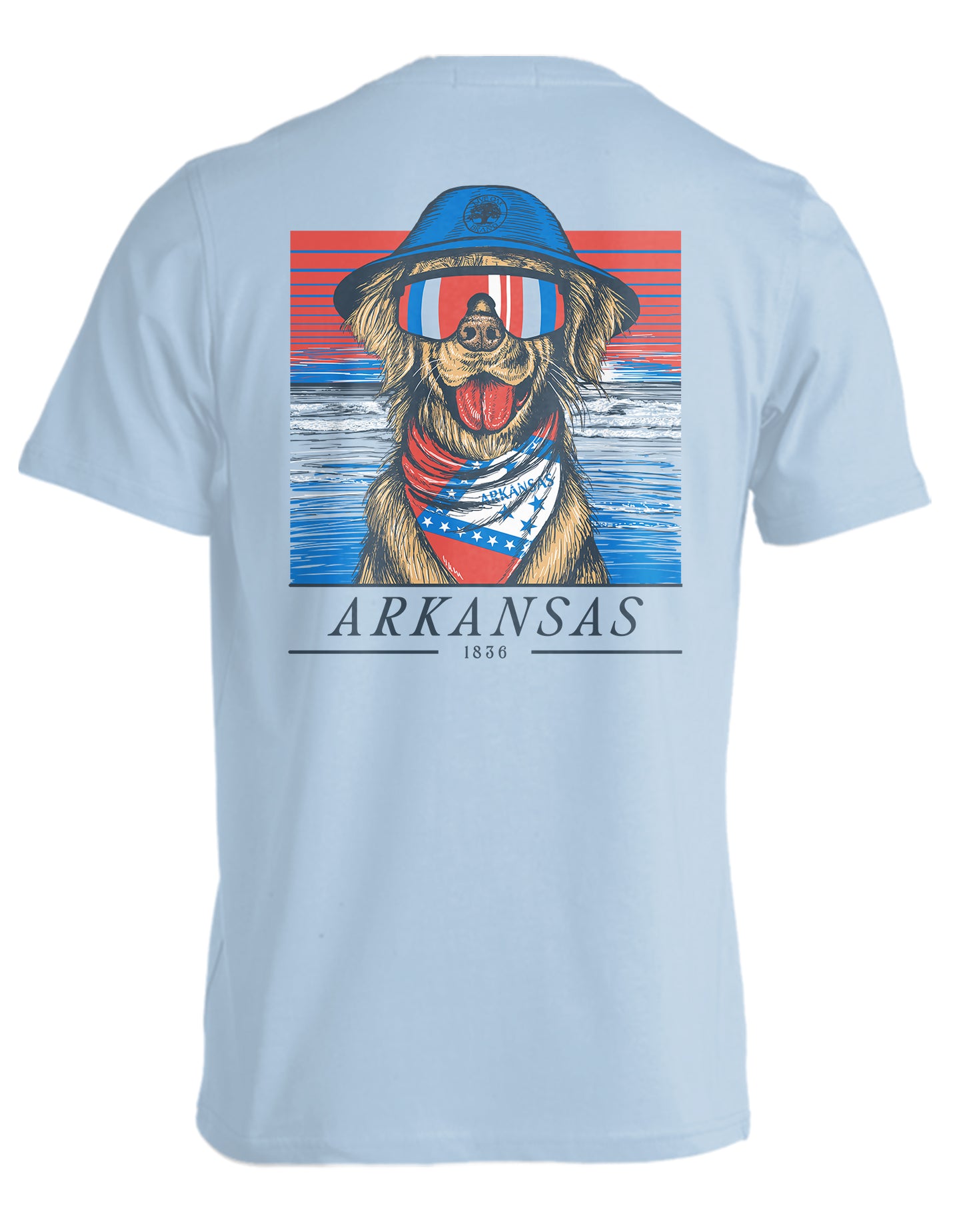 STATE RETRIEVER, ARKANSAS