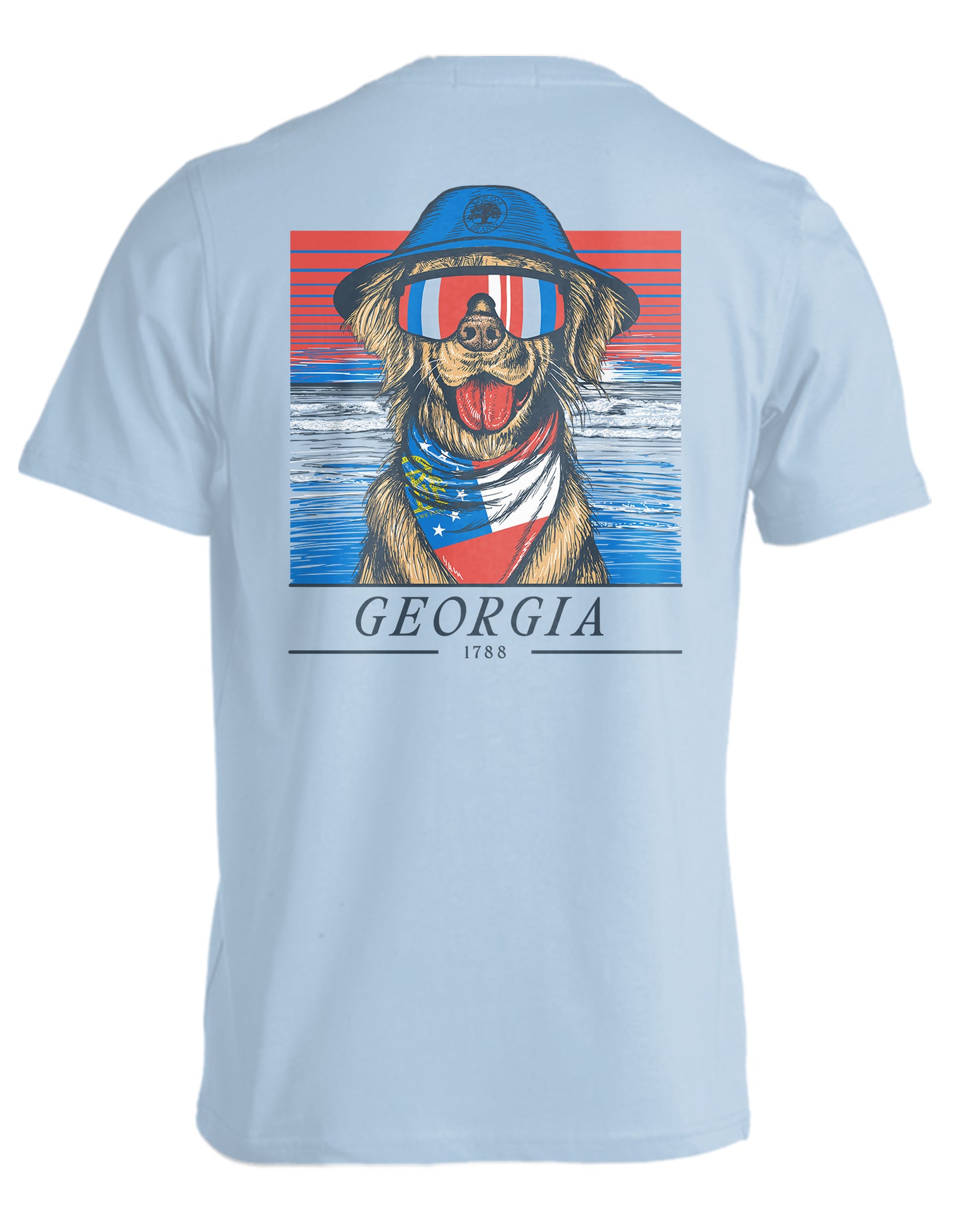 STATE RETRIEVER, GEORGIA