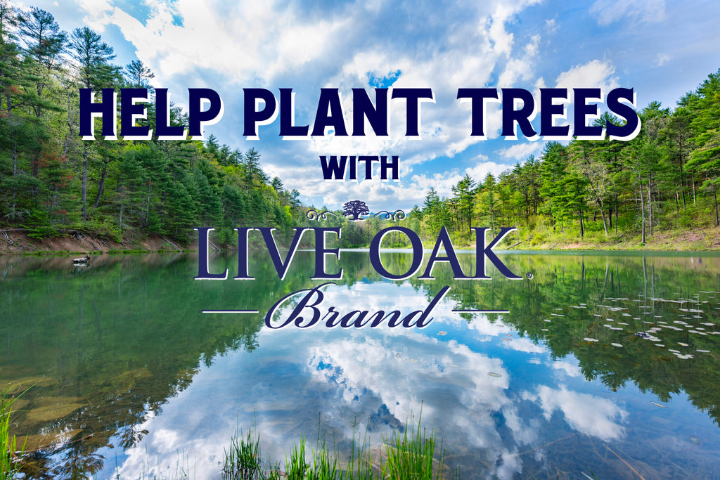 Live Oak Brand donates $5000 to National Forest Foundation beginning their Corporate Partnership