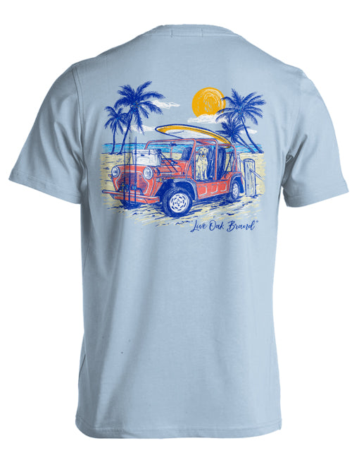 BEACH CRUISER