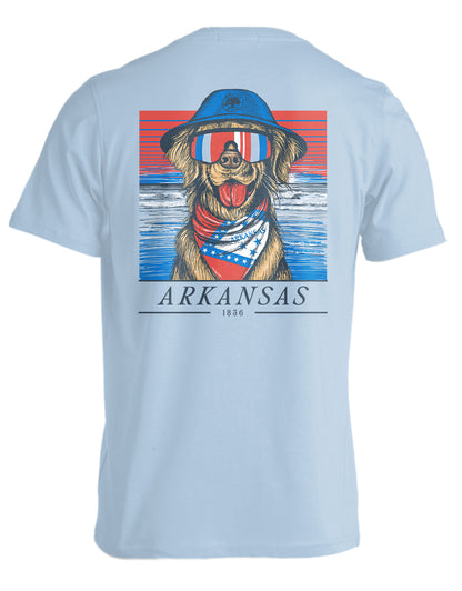 STATE RETRIEVER, ARKANSAS