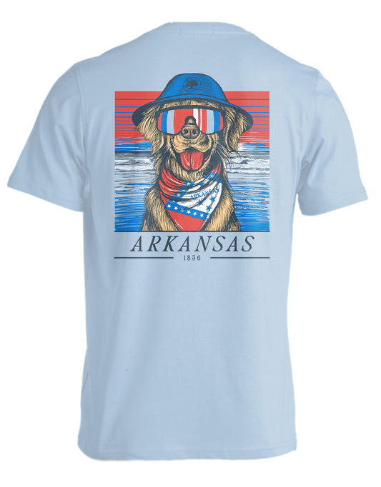 STATE RETRIEVER, ARKANSAS