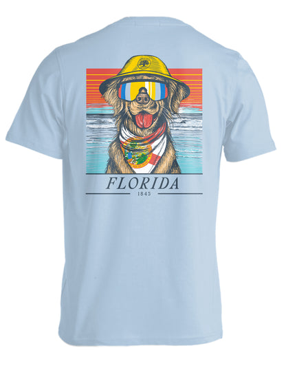 STATE RETRIEVER, FLORIDA