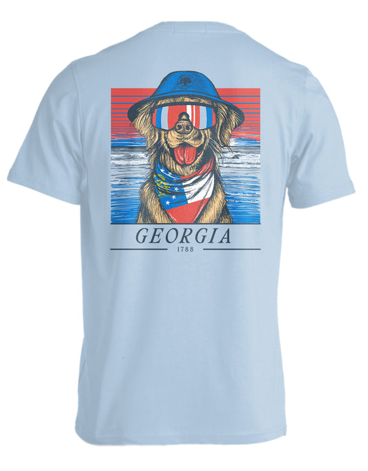 STATE RETRIEVER, GEORGIA