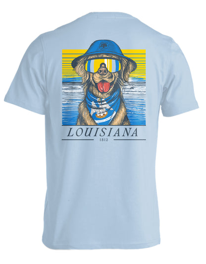 STATE RETRIEVER, LOUISIANA