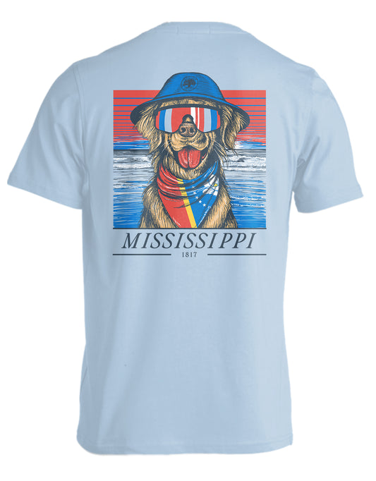 STATE RETRIEVER, MISSISSIPPI