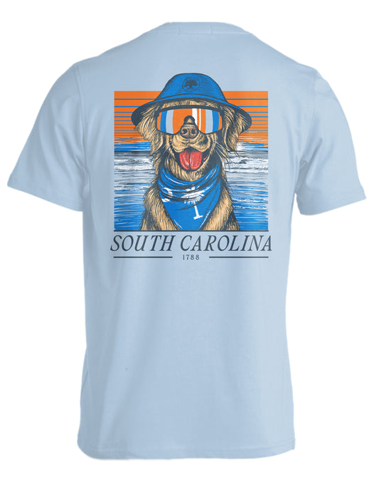 STATE RETRIEVER, SOUTH CAROLINA