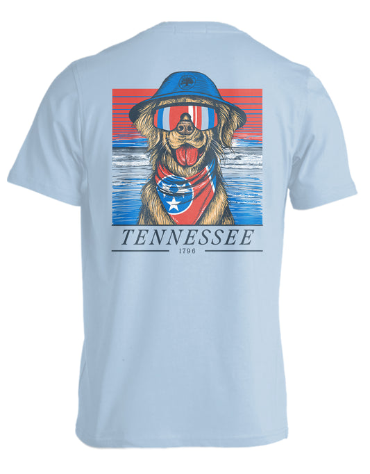 STATE RETRIEVER, TENNESSEE
