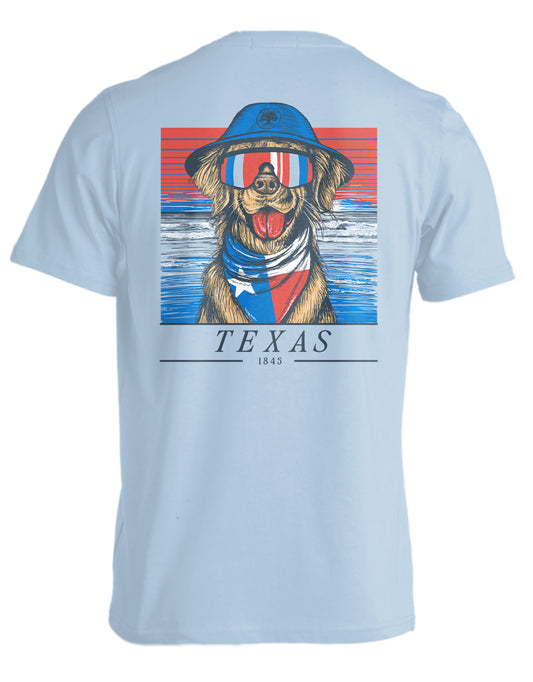 STATE RETRIEVER, TEXAS