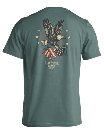 EAGLE AND FLAG
