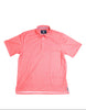 MEN'S PAISLEY SS PERFORMANCE POLO, CORAL